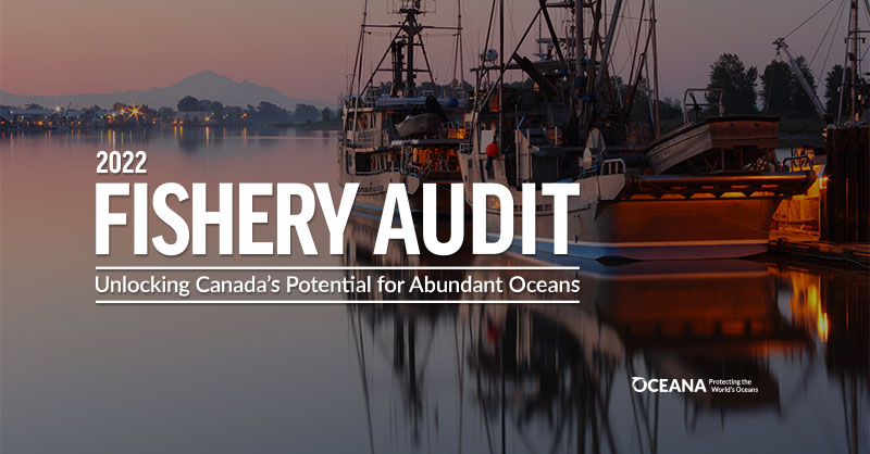 Oceana Fishery Audit 2022